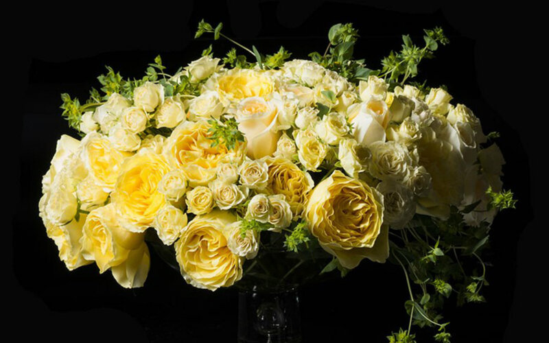 Yellow Rose Bouquet — Dramatic, Photograph