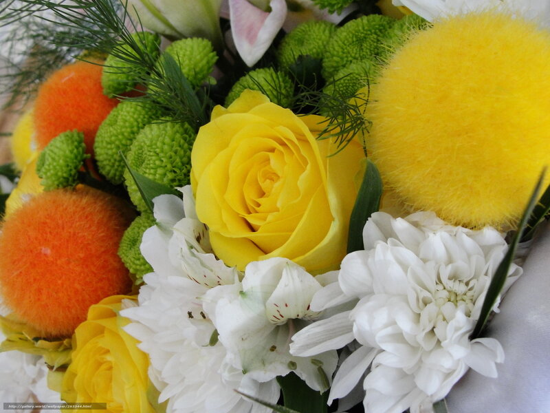 Yellow Rose Bouquet — Festive