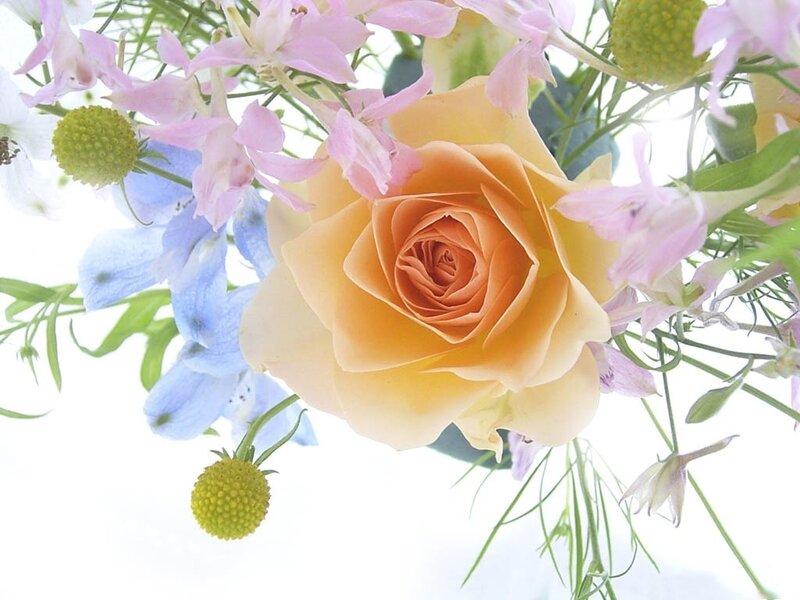 Yellow Rose Bouquet — Serene, Spring, Photograph