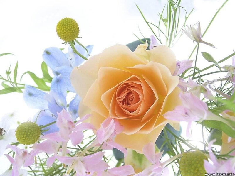 Yellow Rose Bouquet — Serene, Spring