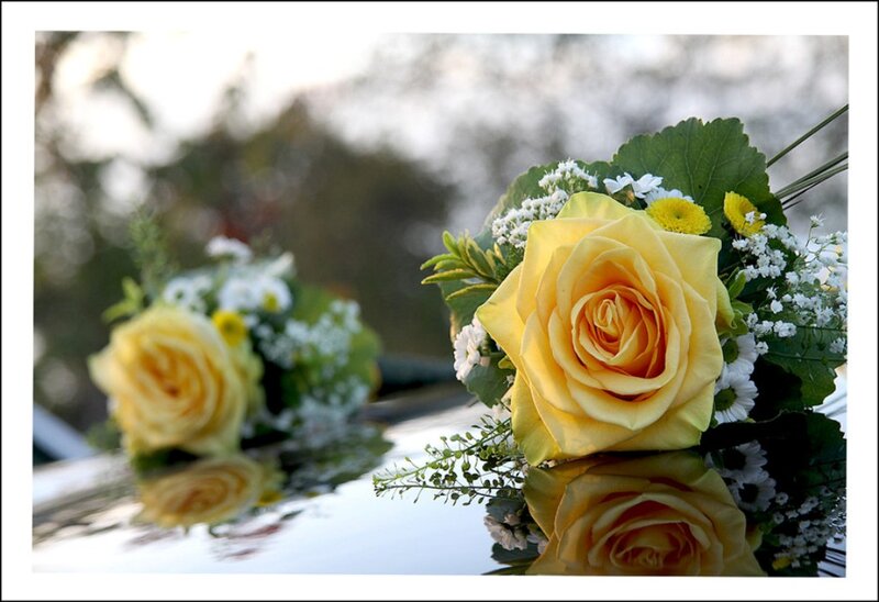 Yellow Rose Bouquet — Serene
