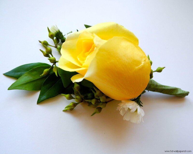Yellow Rose Boutonniere