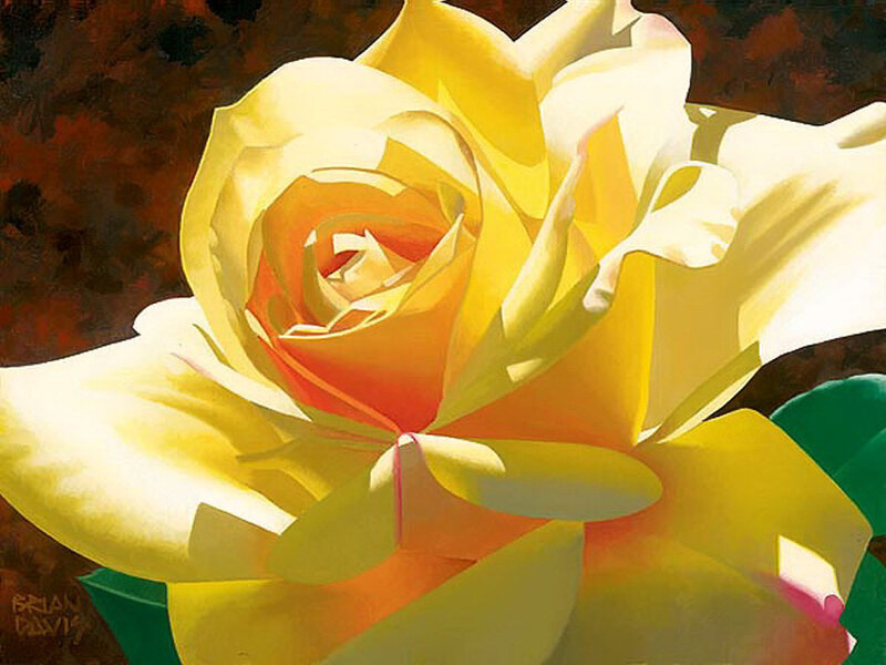 Yellow Rose Flower — Dramatic, Painting
