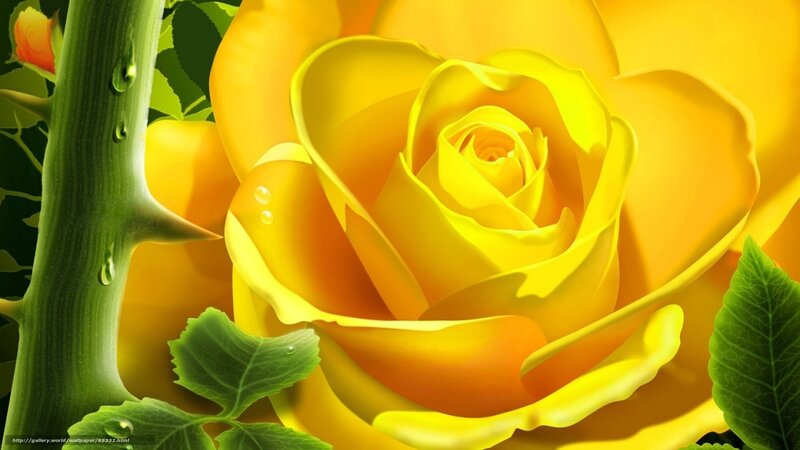 Yellow Rose Flower — Serene, Digital Art, Stem, Leaf