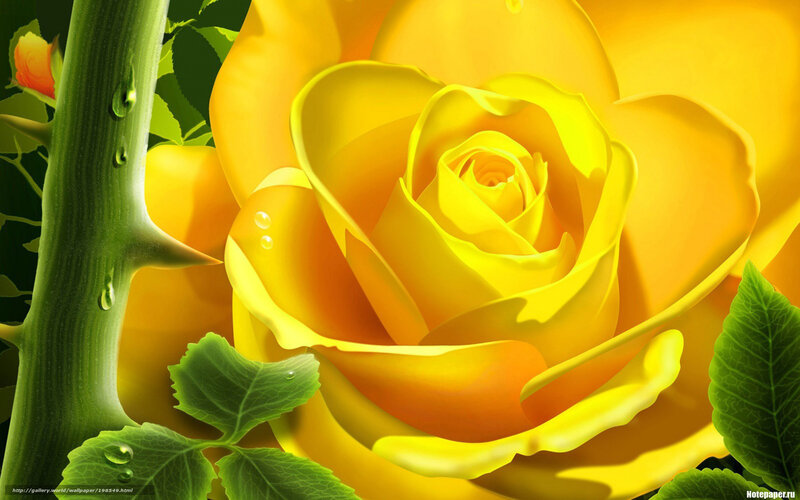 Yellow Rose Flower — Serene, Digital Art, Stem, Leaves