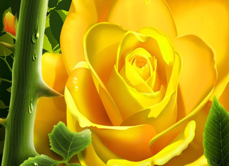 Yellow Rose Flower — Serene, Digital Art, Stem