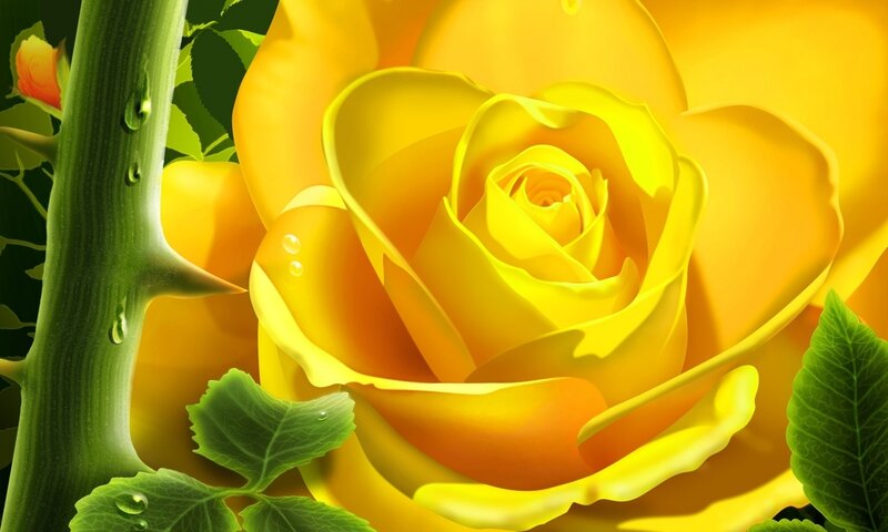 Yellow Rose Flower — Serene, Digital Art
