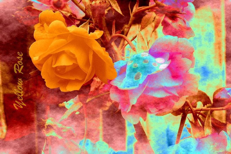 Yellow Rose Flower — Vibrant, Digital Art, Stem