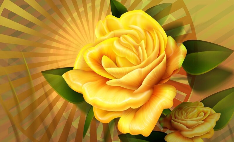 Yellow Rose Flower — Vibrant