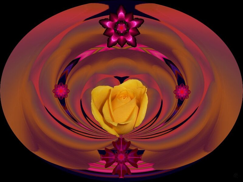 Yellow rose in a colorful vortex