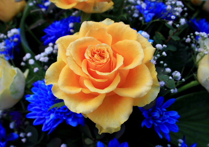 Yellow Rose in Bouquet — Calm, Photograph, Blue Flowers
