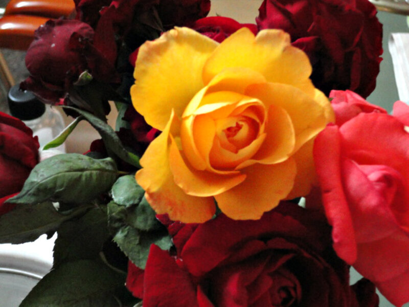 Yellow Rose in Bouquet — Calm, Photograph, Red Roses