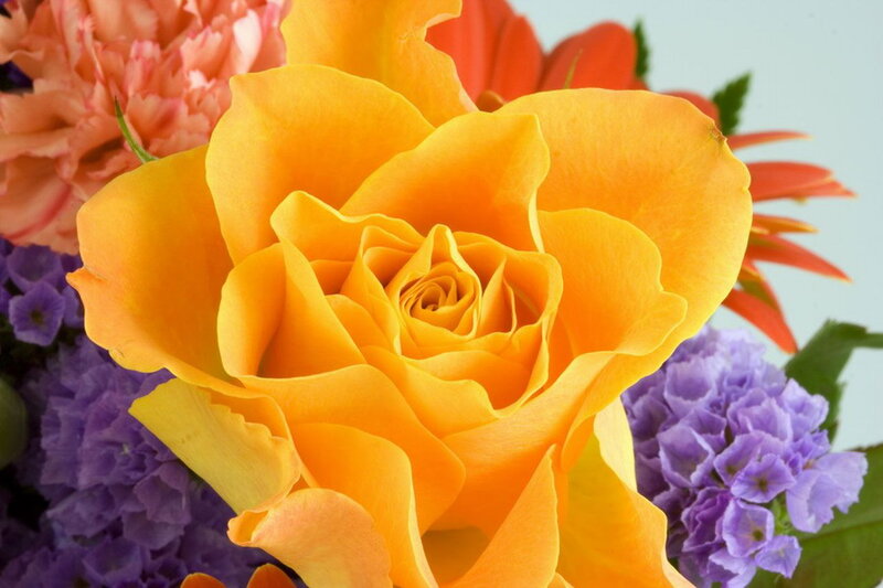 Yellow Rose in Bouquet — Calm