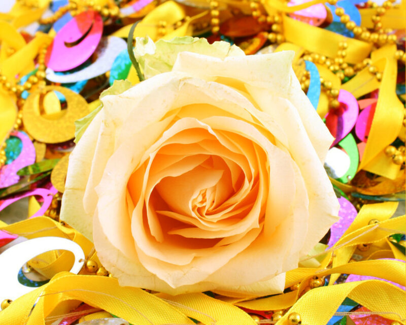 Yellow Rose in Confetti