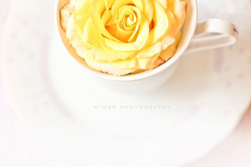 Yellow Rose in Cup — Serene