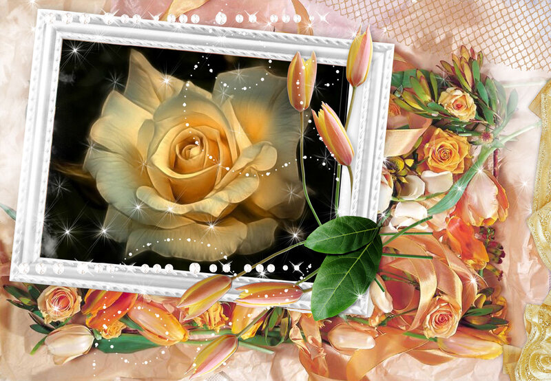 Yellow Rose in Frame — Romantic
