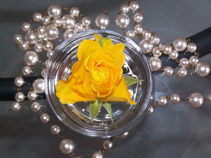 Yellow rose in glass bowl