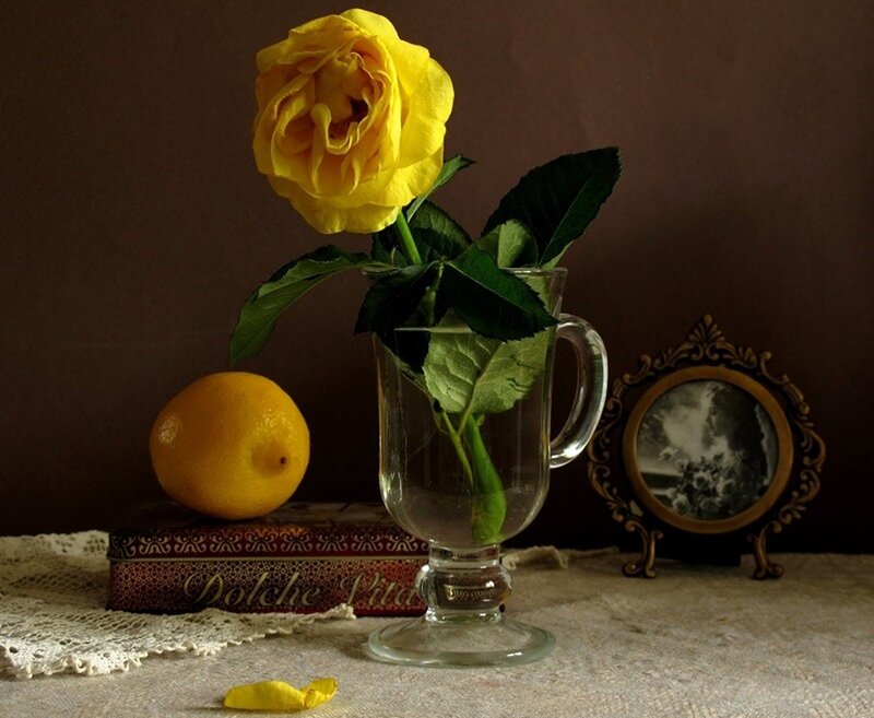 Yellow Rose in Glass — Calm, Photograph