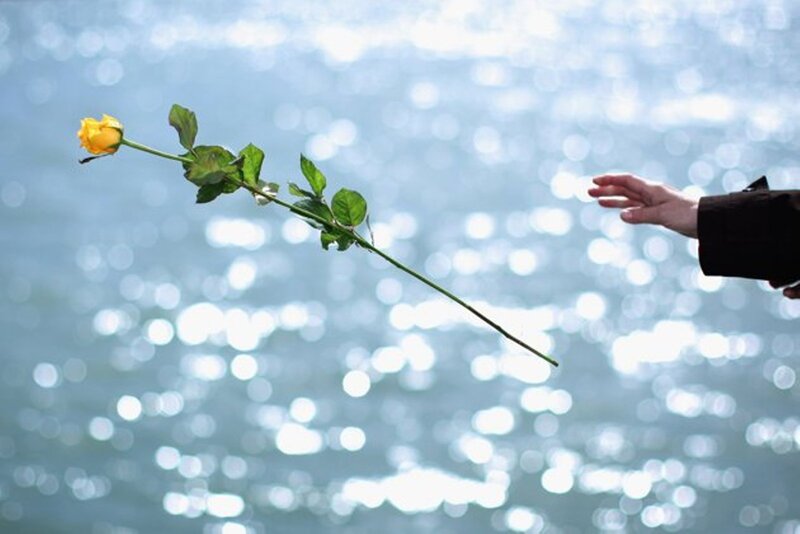 Yellow Rose in Hand — Blue