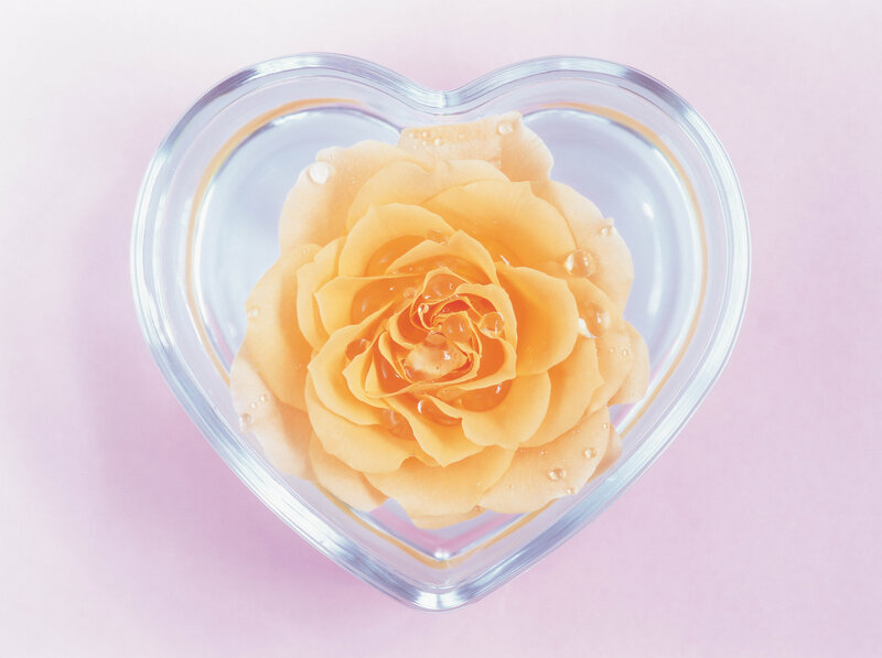 Yellow Rose in Heart Bowl