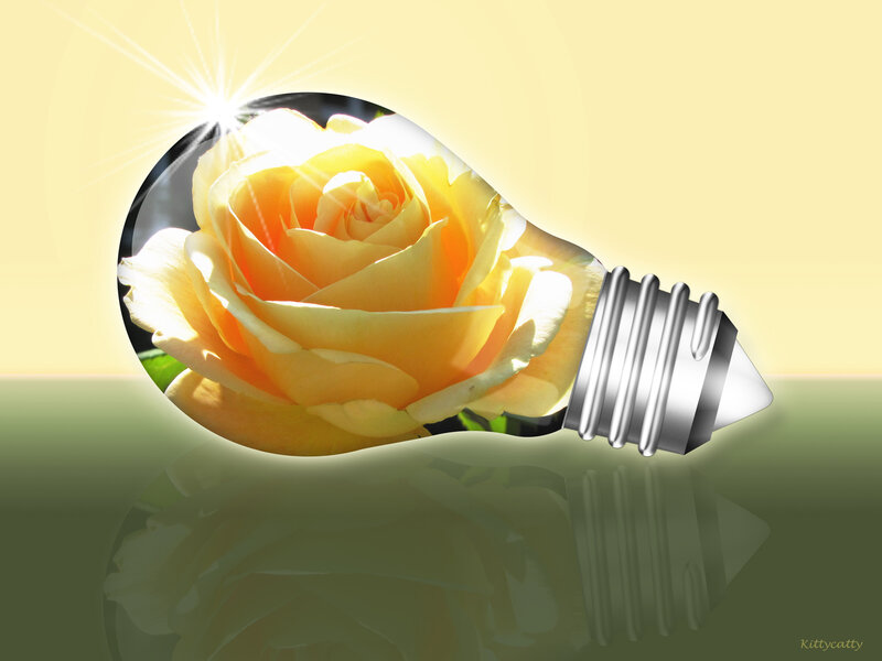 Yellow Rose in Light Bulb