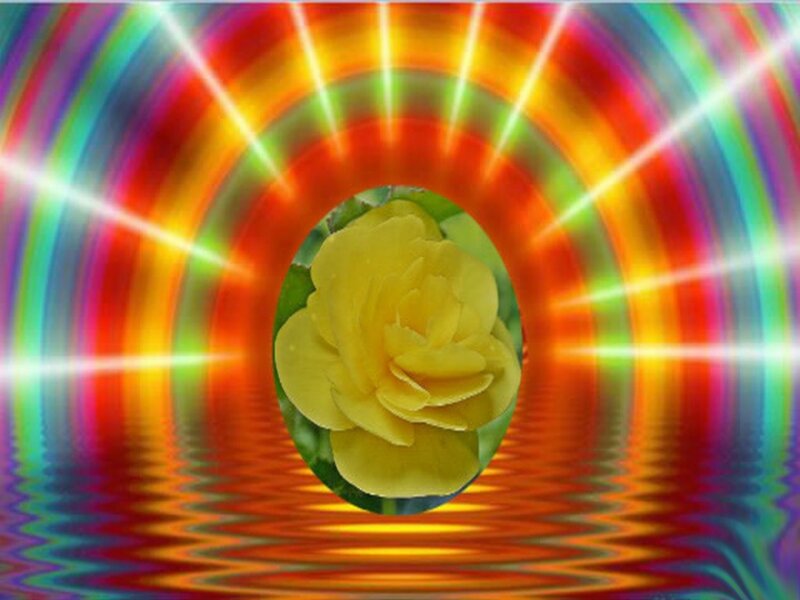 Yellow Rose in Oval Frame