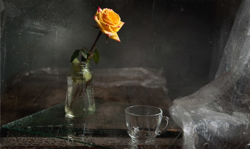 Yellow Rose in Vase — Dramatic, Photograph