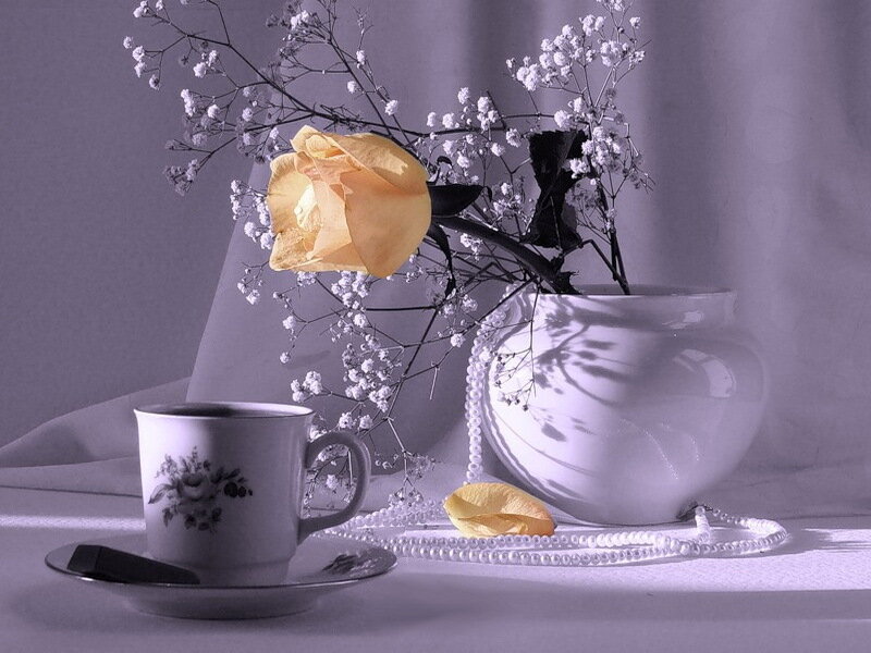 Yellow Rose in Vase — Purple