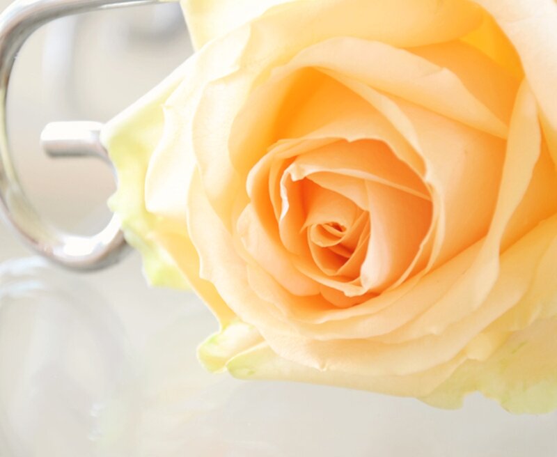 Yellow Rose in Vase — Serene, Photograph, Handle