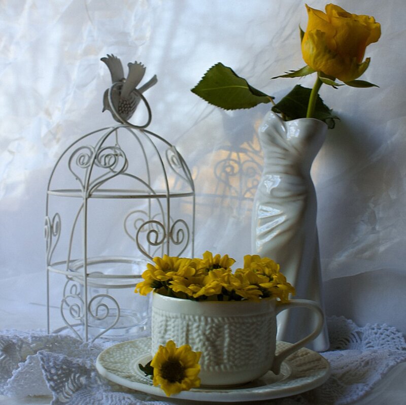 Yellow Rose in Vase — White