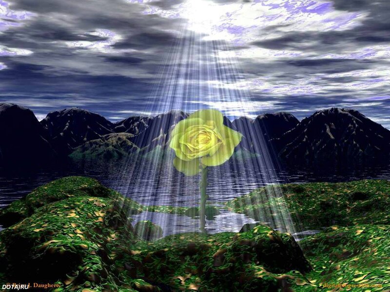 Yellow Rose in Water — Green