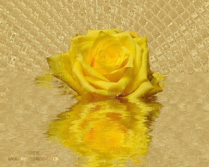 Yellow Rose in Water — Serene, Digital Art