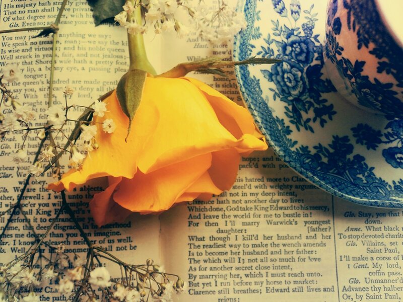 Yellow Rose on Book — Calm, Photograph, Flower