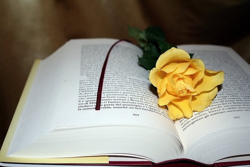 Yellow Rose on Book — Calm
