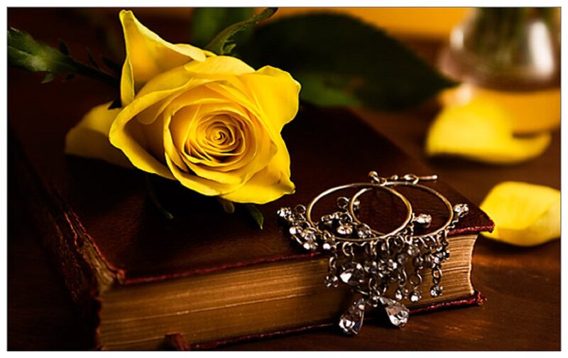 Yellow Rose on Book — Dramatic, Photograph