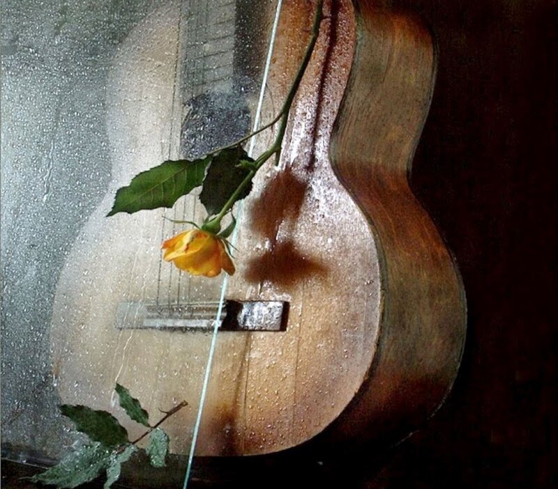 Yellow Rose on Guitar — Brown