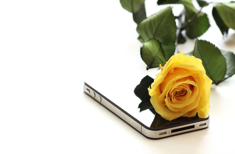 Yellow Rose on Phone