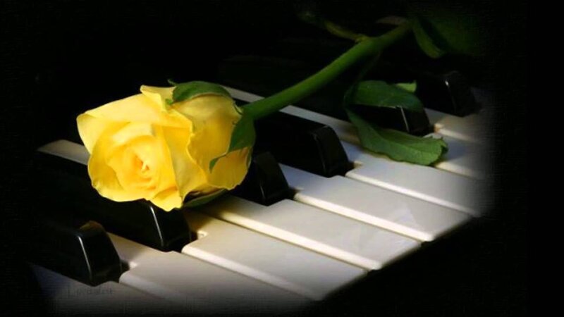 Yellow Rose on Piano Keys — Dramatic, Photograph