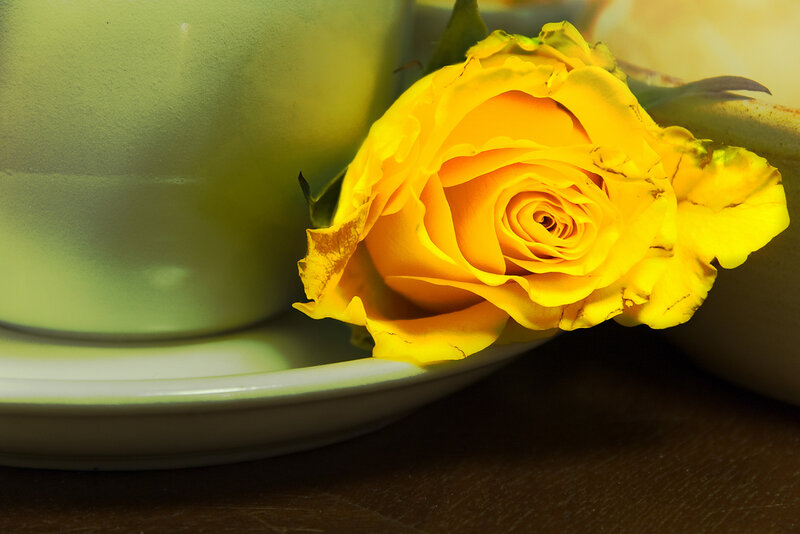 Yellow Rose on Saucer