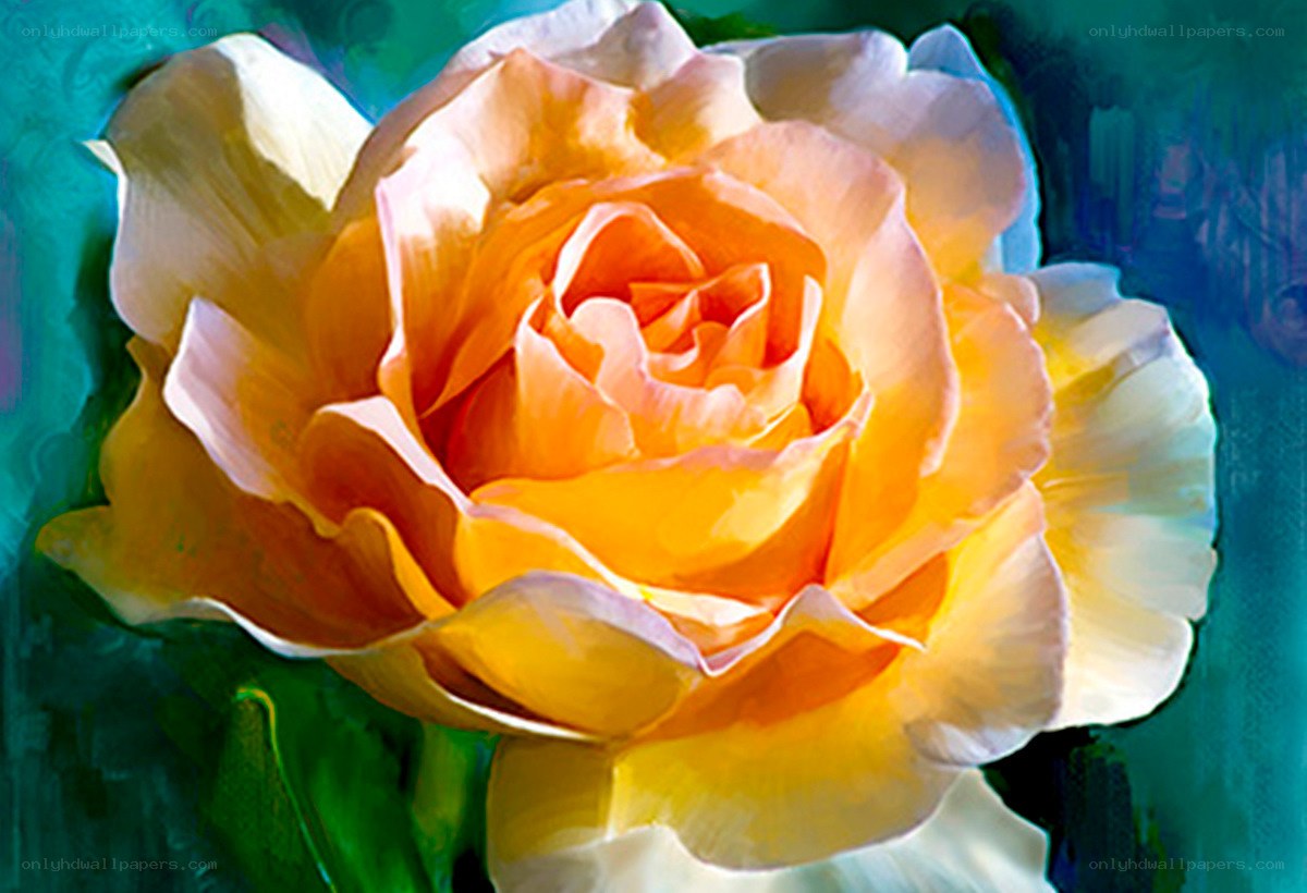 Yellow rose painting