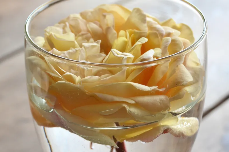 yellow rose petals in glass