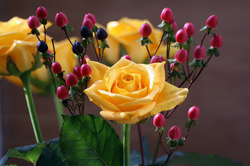 Yellow Rose with Berries