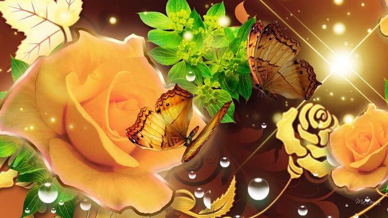 Yellow Rose with Butterflies