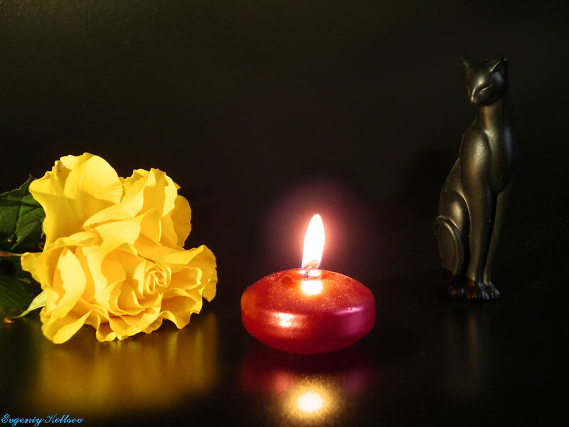 Yellow Rose with Candle