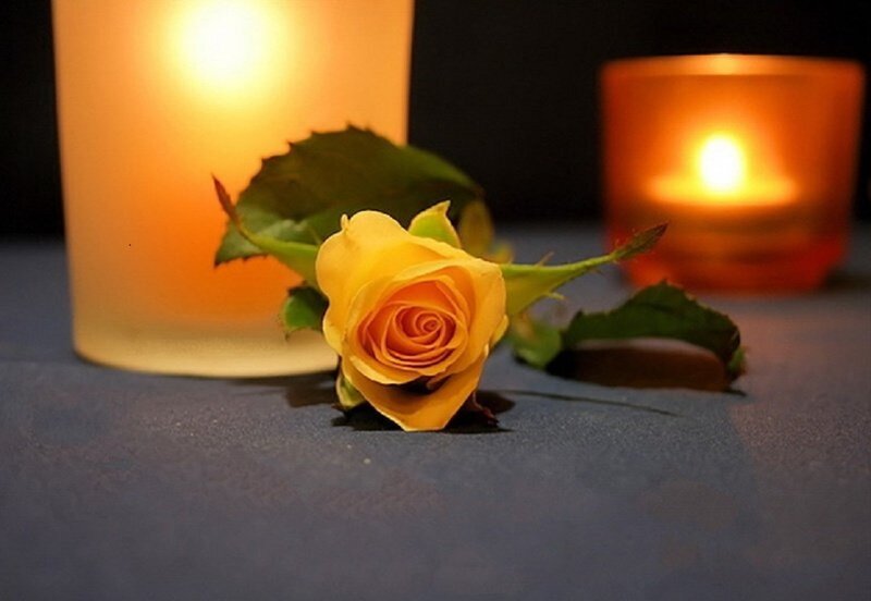Yellow Rose with Candles