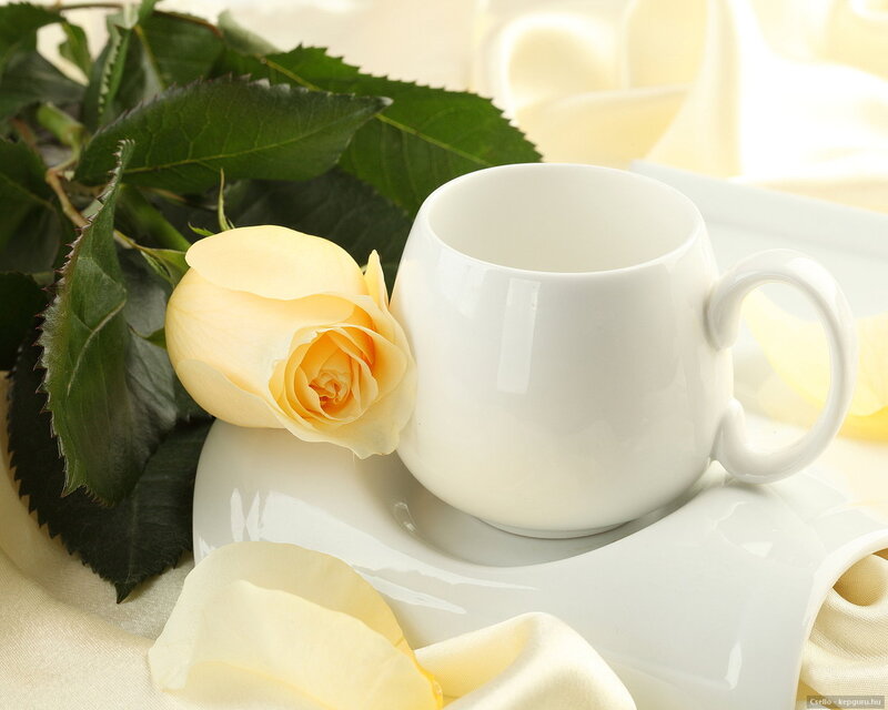 Yellow Rose with Cup