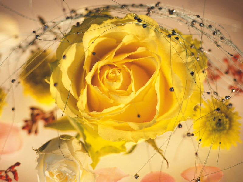 Yellow Rose with Decorations
