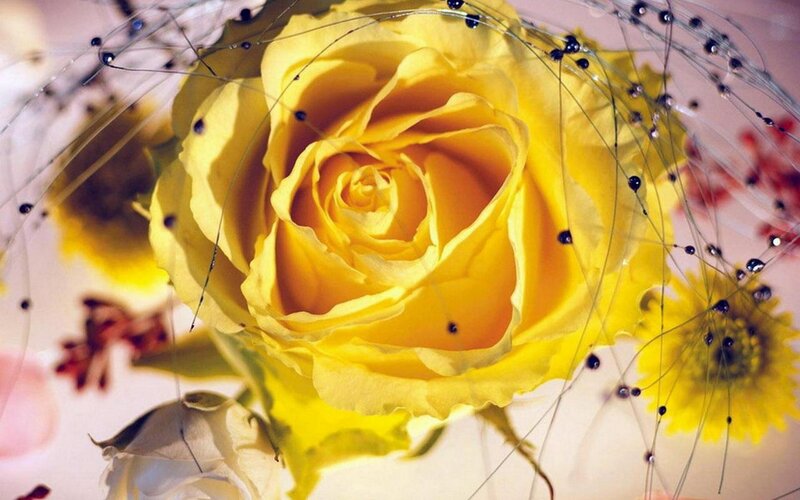 yellow rose with decorative threads