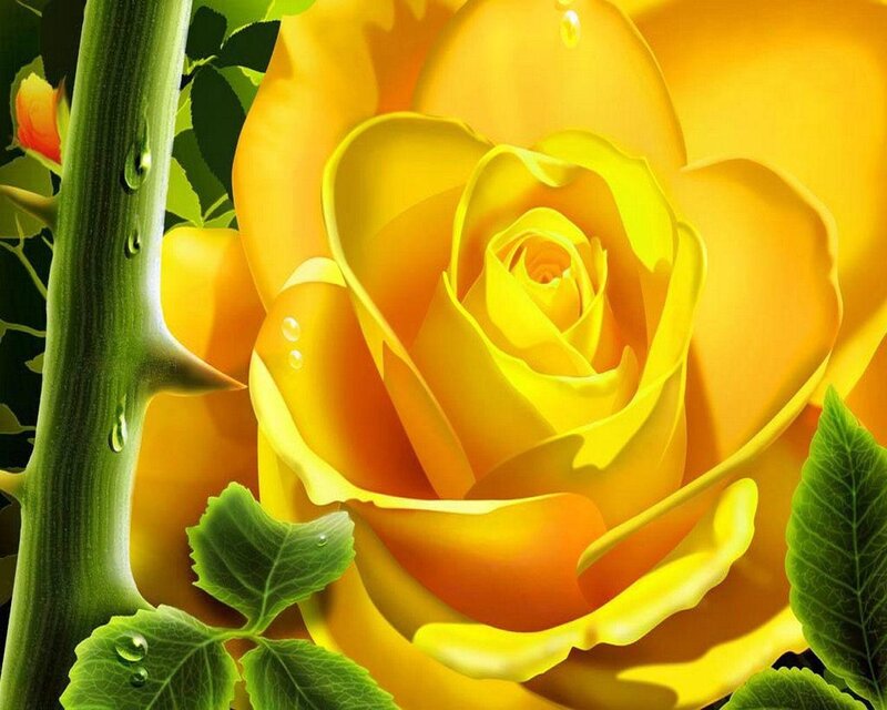 Yellow Rose with Dew — Serene, Morning, Digital Art
