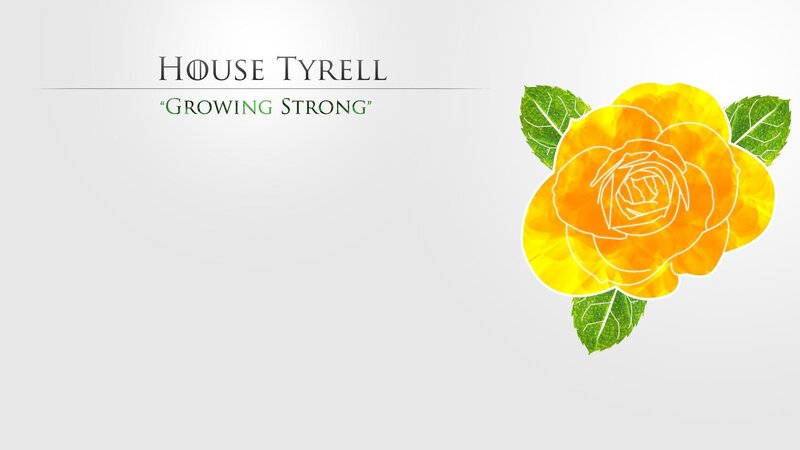 Yellow Rose with Leaves — Calm, Illustration